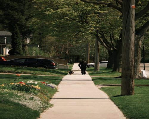 Person enjoying a quiet morning stroll through local neighborhood streets